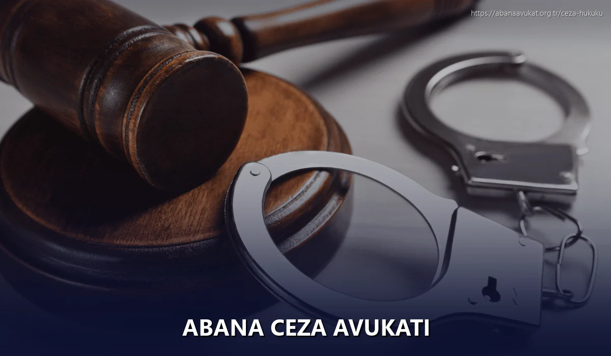 Van Ceza Avukatı